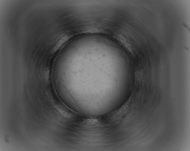 X0000093380159200710191141