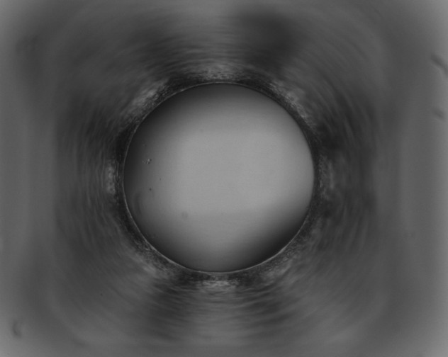 X0000093380161200710191141