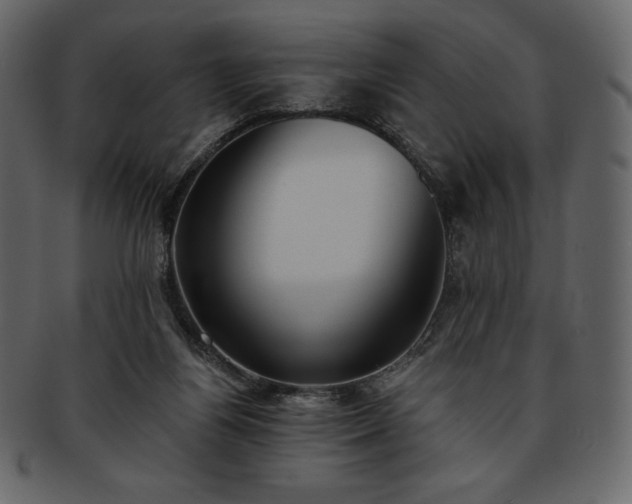 X0000093380164200710191141