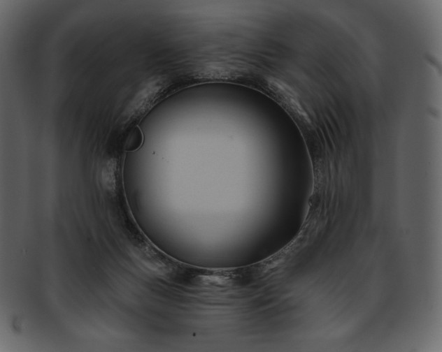 X0000093380167200710191141