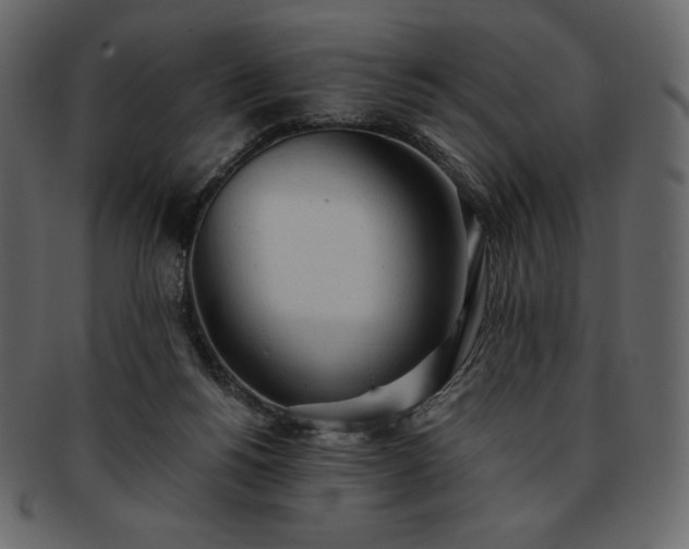 X0000093380168200710191141