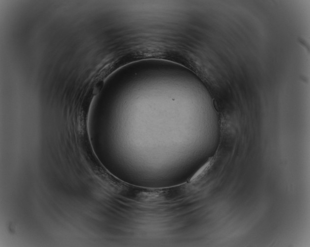 X0000093380170200710191141