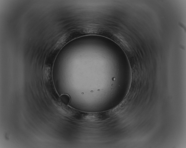 X0000093380171200710191141