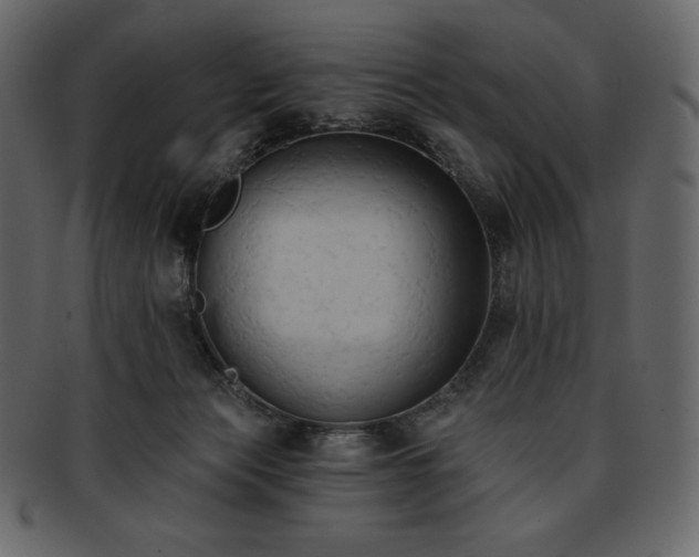 X0000093380173200710191141