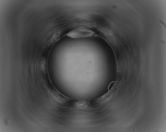 X0000093380175200710191141