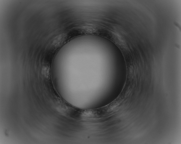 X0000093380177200710191141