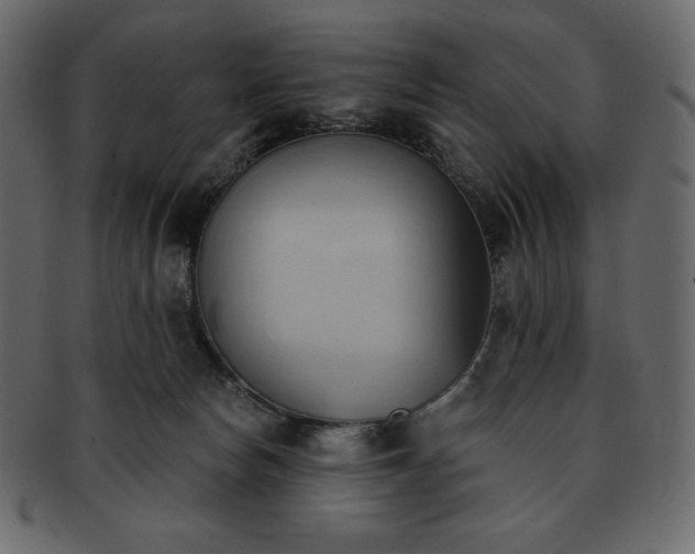 X0000093380178200710191141