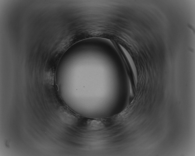 X0000093380180200710191141