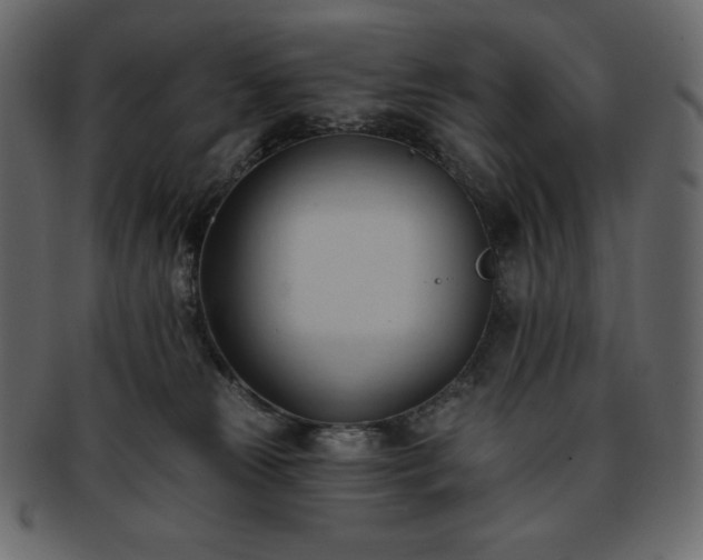 X0000093380181200710191141