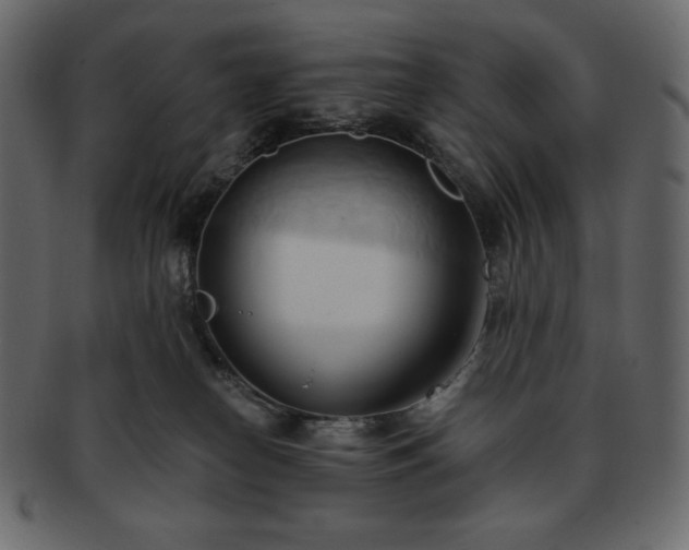 X0000093380182200710191141