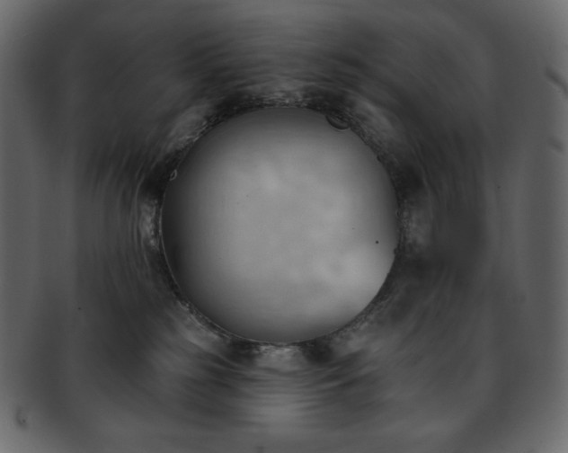 X0000093380185200710191141