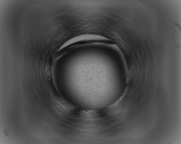 X0000093380186200710191141