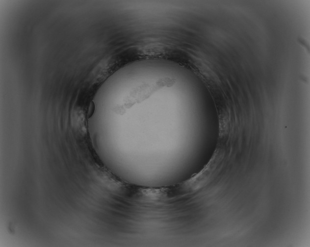 X0000093380187200710191141