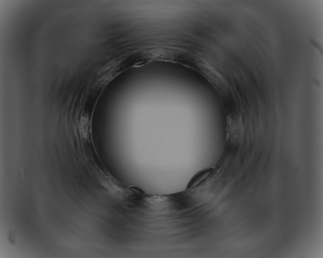 X0000093380189200710191141