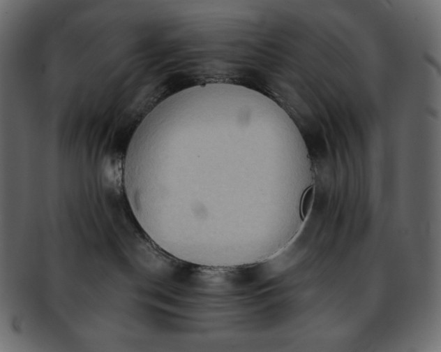 X0000093380190200710191141