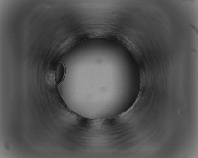 X0000093380191200710191141