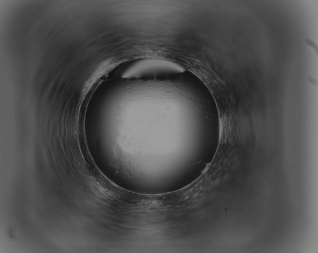 X0000093380195200710191141