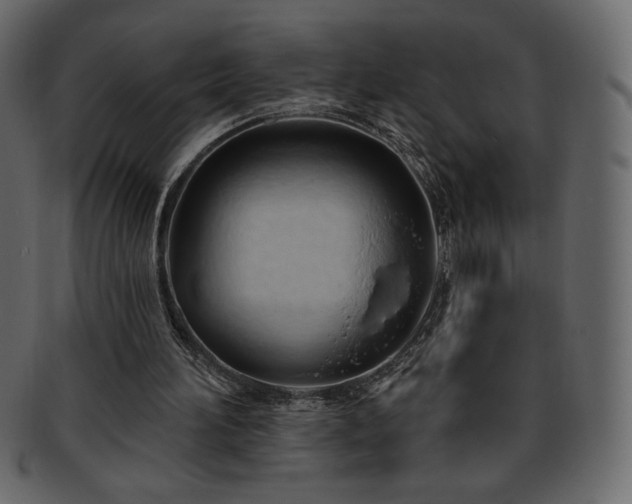 X0000093380196200710191141