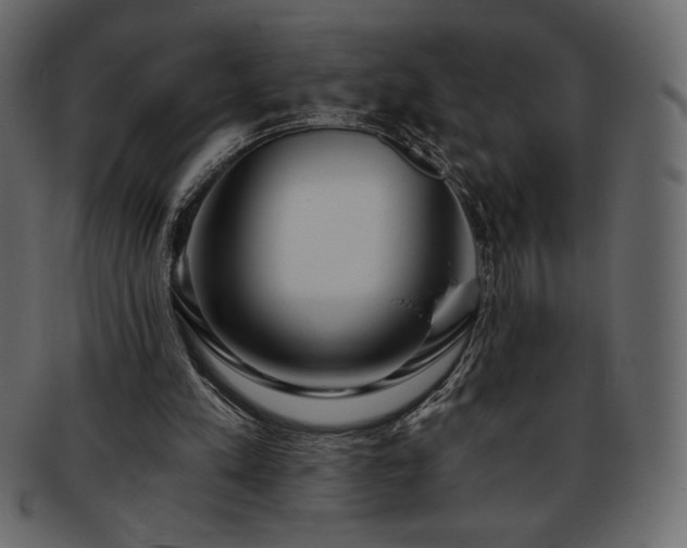 X0000093380197200710191141