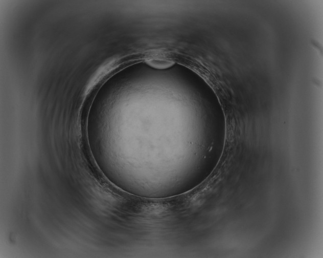 X0000093380198200710191141