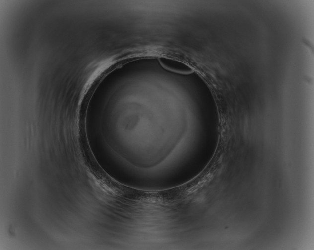 X0000093380200200710191141