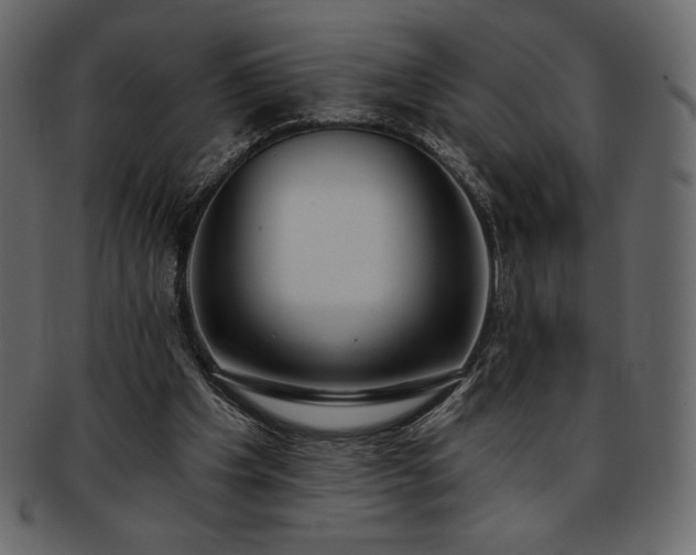 X0000093380201200710191141