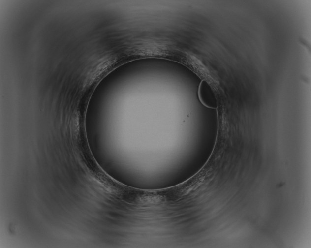 X0000093380202200710191141