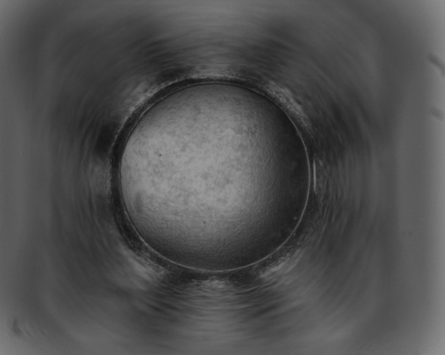 X0000093380204200710191141