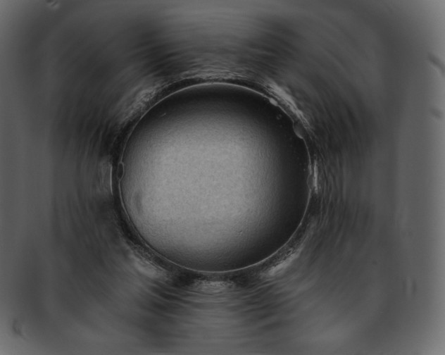 X0000093380205200710191141