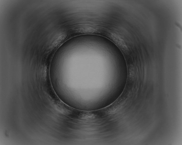 X0000093380206200710191141