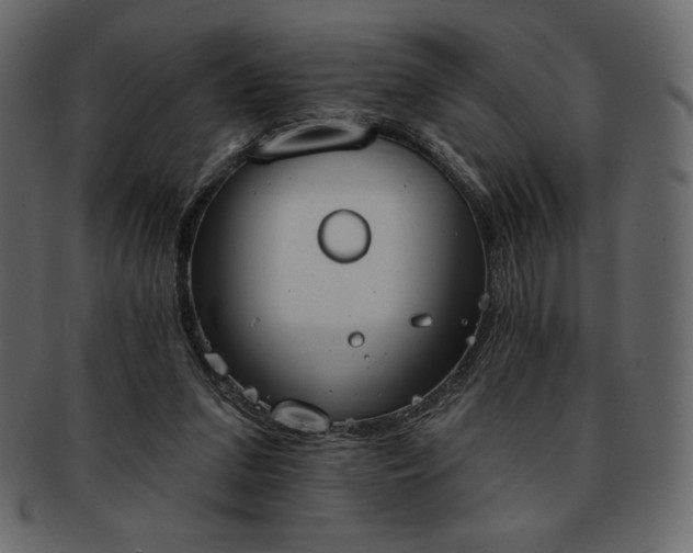 X0000093380207200710191141