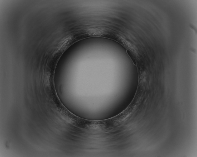 X0000093380209200710191141