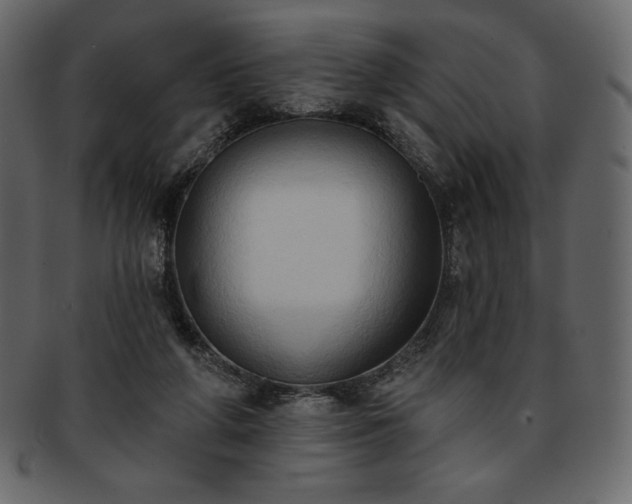 X0000093380210200710191141