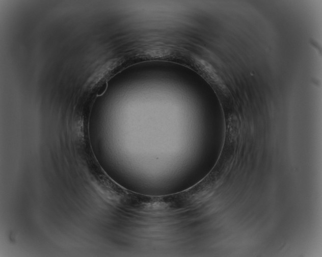 X0000093380212200710191141