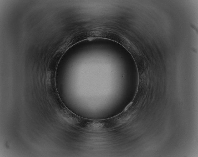 X0000093380217200710191141