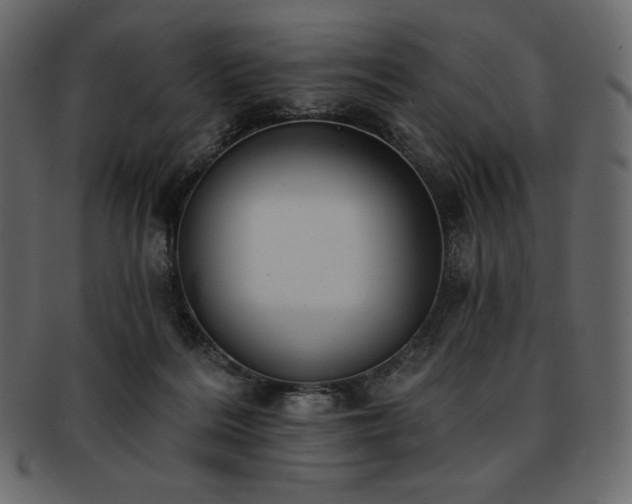 X0000093380220200710191141