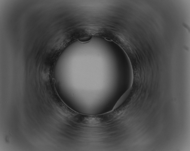 X0000093380221200710191141