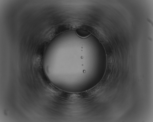 X0000093380222200710191141