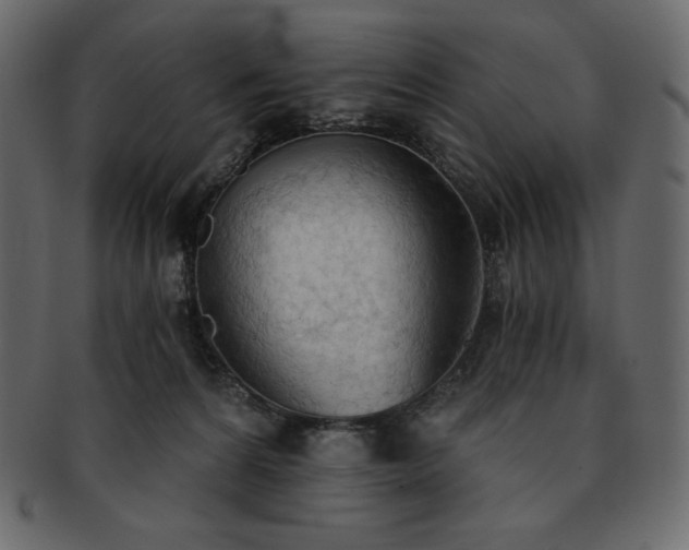 X0000093380224200710191140