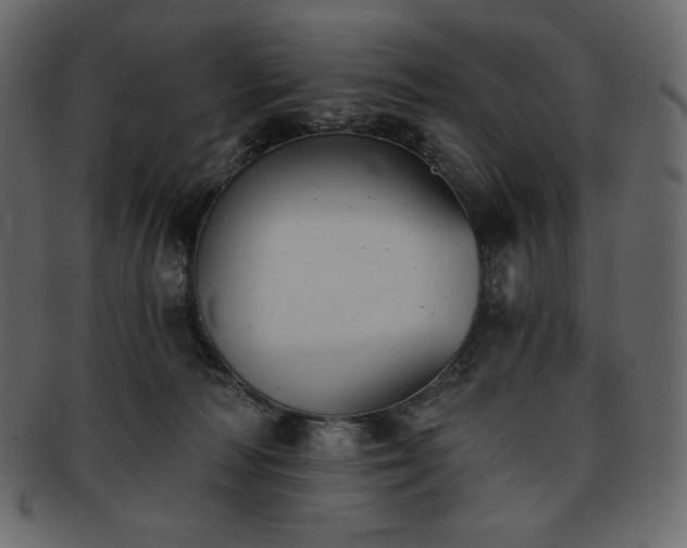 X0000093380226200710191140