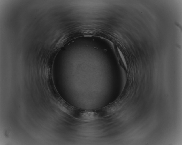 X0000093380227200710191140