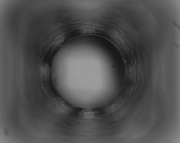 X0000093380228200710191140