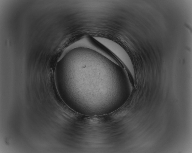 X0000093380229200710191140