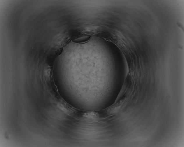 X0000093380231200710191140