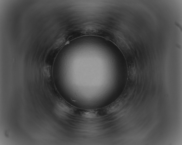 X0000093380232200710191140