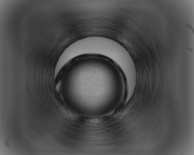 X0000093380237200710191140