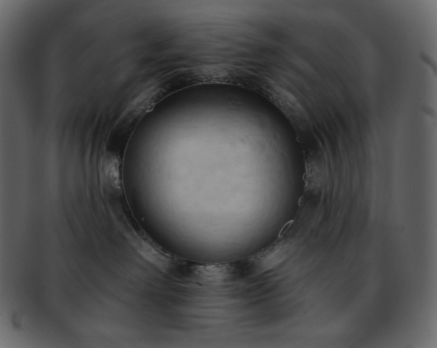 X0000093380238200710191140