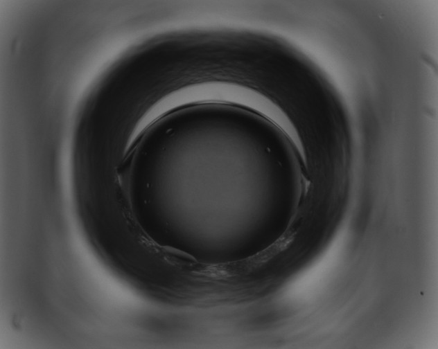 X0000093380239200710191140