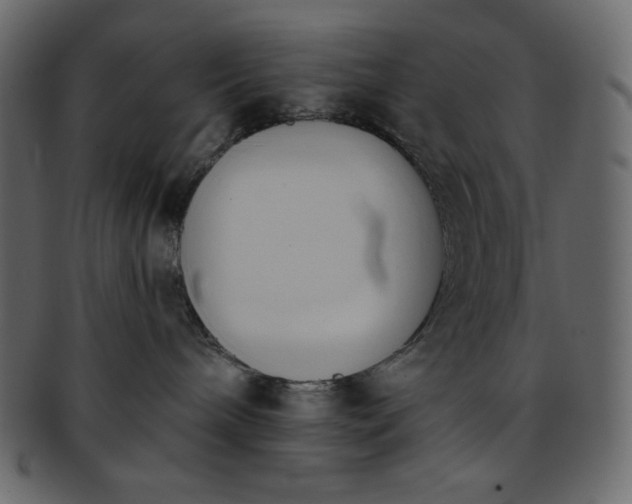 X0000093380240200710191140