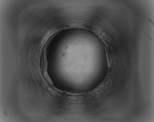 X0000093380241200710191140